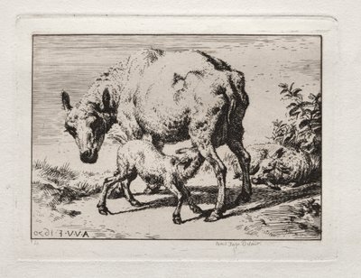 İki Kuzulu Koyun by Charles Meryon