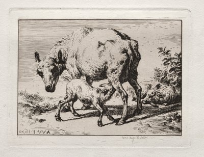İki Kuzulu Koyun, 1850. by Charles Meryon