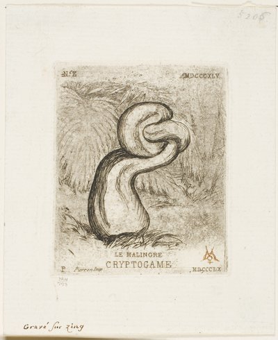 hastalıklı kriptogam by Charles Meryon