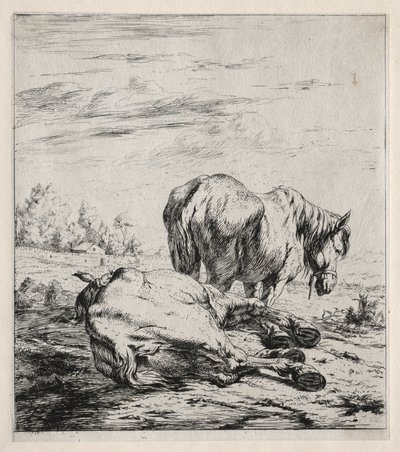 İki At, 1850. by Charles Meryon