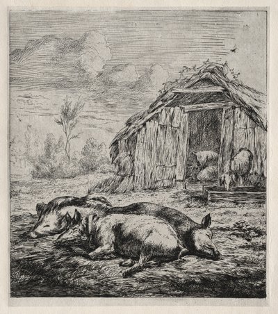 Bir Arpacık Önünde Yatan Üç Domuz by Charles Meryon
