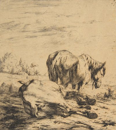 İki At, 1850. by Charles Meryon