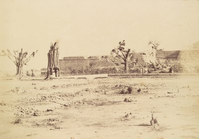 Tanımlanamayan Bir Kale, Delhi ile Çorak Manzara by Charles Moravia