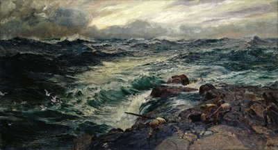 Yırtıcı kuşlar by Charles Napier Hemy