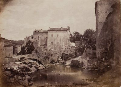çimen by Charles Nègre