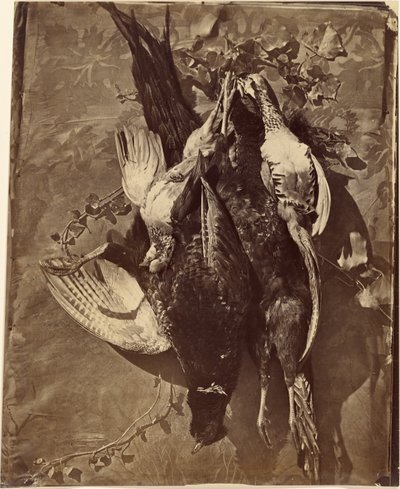  by Charles Nègre