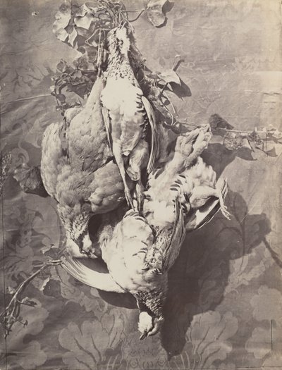 [Oyun Kuşlarıyla Natürmort], 1859. by Charles Nègre