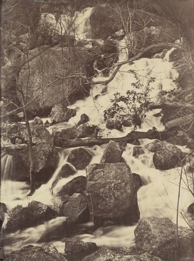 [Ağaçlar ve Şelaleler], 1860-65. by Charles Nègre