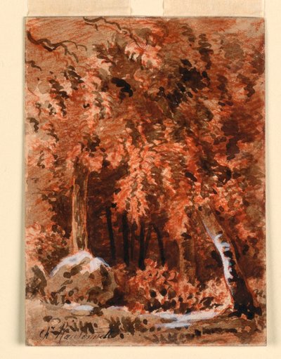 Ormanda by Charles Nicolas Ransonnette