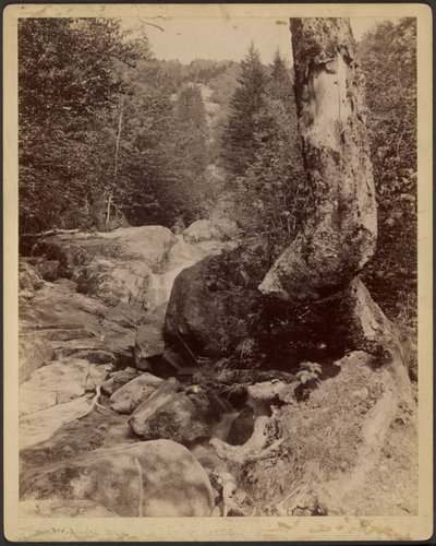  by Charles P. Hibbard