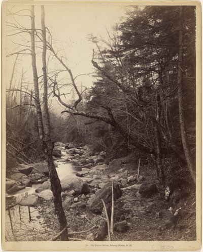  by Charles P. Hibbard