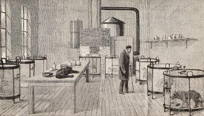 Fransız kimyager ve biyolog Louis Pasteur#39;un (1822-1895) laboratuvarındaki kafeslerdeki köpekler, Paris, Fransa, L#39;Illustrazione Italiana#39;dan gravür, yıl 12, sayı 46, 15 Kasım by Charles Paul (after) Renouard