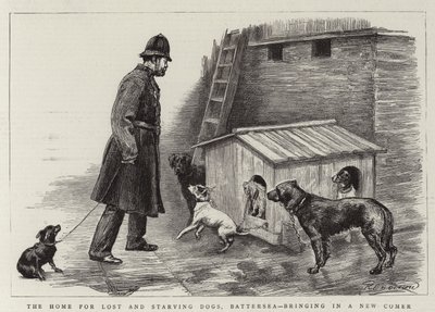 Kayıp ve Açlıktan Ölen Köpekler Evi, Battersea, Yeni Bir Gelen Getiriyor by Charles Paul Renouard