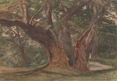 Peyzajdaki Ağaçlar by Charles Reginald Aston