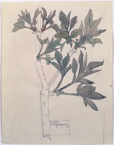 Elder, Walberswick, 1915 (kağıt üzerinde wc ve kurşun kalem) by Charles Rennie Mackintosh