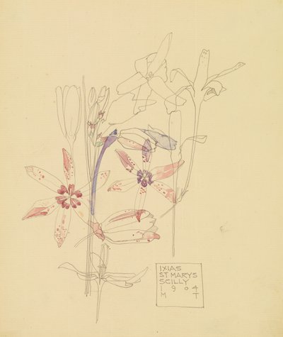 Ixia#39;lar by Charles Rennie Mackintosh