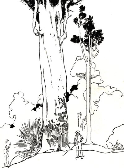 Bir Kauri Ağacı, 1912 by Charles Robinson