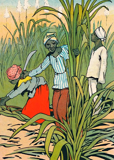 Şeker Kamışları Arasında İş Başında, 1912 by Charles Robinson