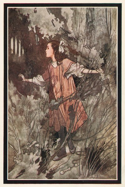 Bir Kapının Topuzuydu by Charles Robinson