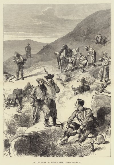 Laing'in Boynunun Yamacında, Akşam, 28 Ocak by Sir John Charles Robinson
