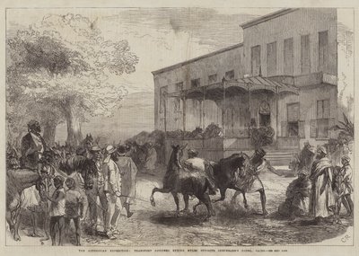 Habeş Seferi, Ulaştırma Memurları Kahire Shepheard