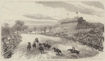 Alexandra Park Yarışları, Muswell Tepesi by Sir John Charles Robinson