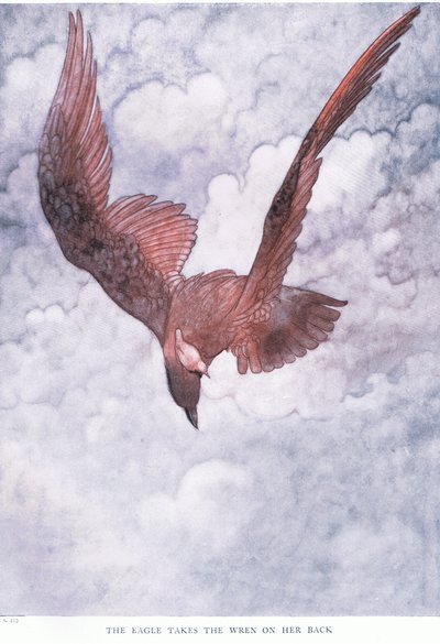 Kartal, Wren