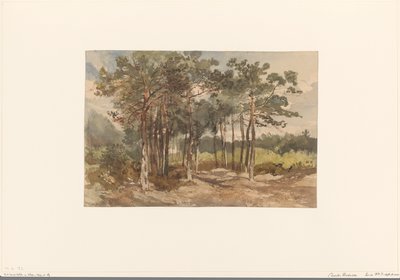 Driebergen yakınlarındaki ormanda ağaç grubu by Charles Rochussen