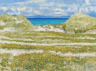 Glimpse of Harris, 2014 (tuval üzerine yağlıboya) by Charles Simpson