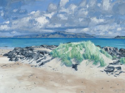Kayalar ve Çimenler, Iona, 2013 (tuval üzerine yağlıboya) by Charles Simpson
