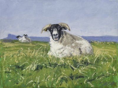 West Coast Sheep, 2017 (tuval üzerine yağlıboya) by Charles Simpson