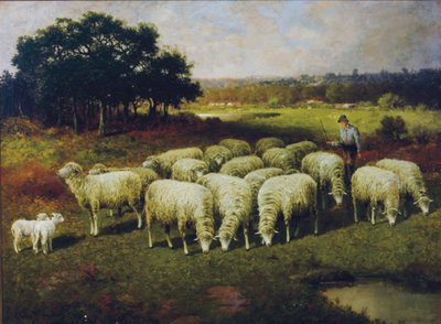 Tarlada koyunlarıyla bir çoban, 1898 by Charles T. Phelan