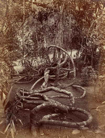  by Charles T. Scowen