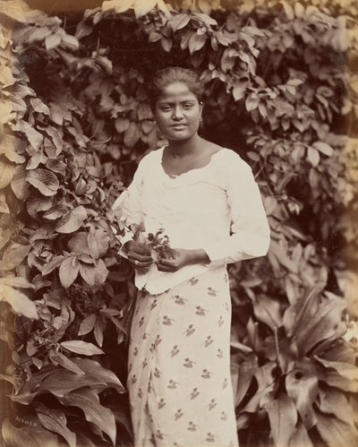 by Charles T. Scowen