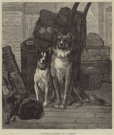 Yabancılar ve Hacılar by Charles Trevor Garland