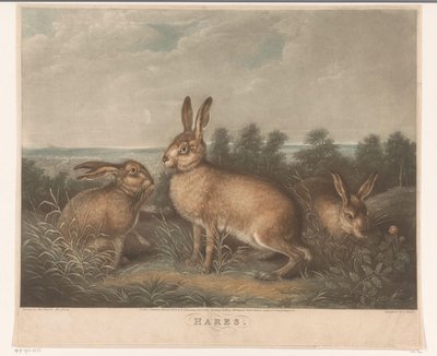 kuru hazen Tavşanlar (nesne üzerindeki başlık) by Charles Turner