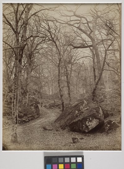 Fontainebleau, c.1870 (albüm baskısı) by Charles Victor Famin
