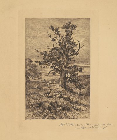 Koyunlu Manzara by Charles Volkmar