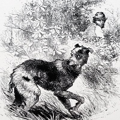 Onun lurcher ile bir kaçak avcı by Charles Whymper
