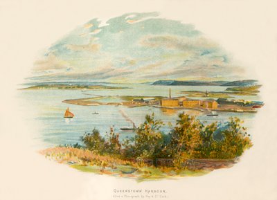 Queenstown limanı by Charles Wilkinson