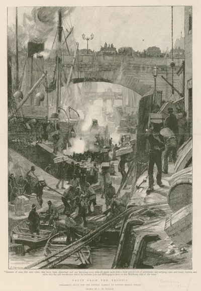 Tropiklerden Meyve (gravür) by Charles William Wyllie