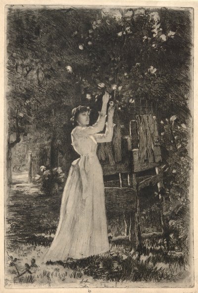 Ağaçtan Çiçek Toplayan Genç Bir Kadın by Charles Yardley Turner