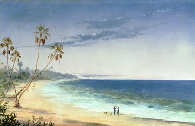Küba Manzarası, 1866 by Charles de Wolfe Brownell