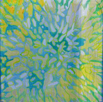 Acrapora, 2000 (gesso üzerine yağ) by Charlotte Johnstone