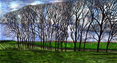 Cushendun, Kuzey İrlanda, 2020 by Charlotte Orr