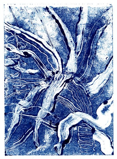 Inky Plants no.2, 2019 (tek baskı) by Charlotte Orr