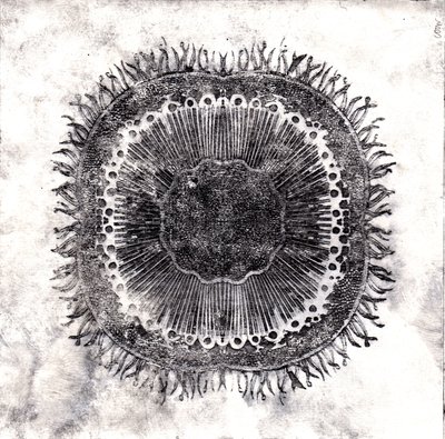 Bitki Hücreleri, 2019 (kuru nokta aşındırma) by Charlotte Orr