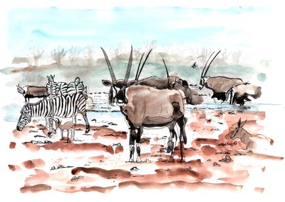Safari, 2018 (mürekkep ve sulu boya) by Charlotte Orr