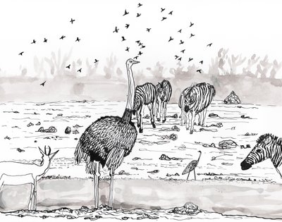 Safari 2, 2018 (mürekkep ve sulu boya) by Charlotte Orr