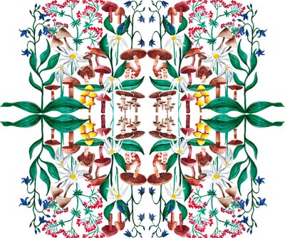 Yabani Bitkiler, 2015 akrilik by Charlotte Orr